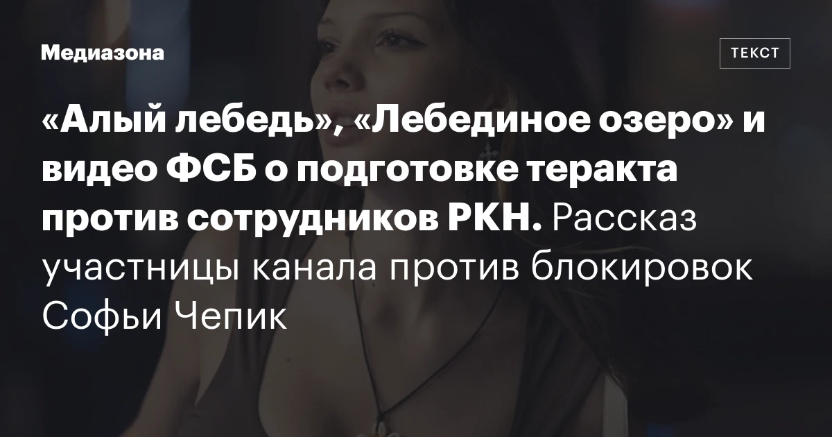 «Алый лебедь», «Лебединое озеро» и видео ФСБ о подготовке теракта против сотрудников РКН. Рассказ участницы канала против блокировок Софьи Чепик