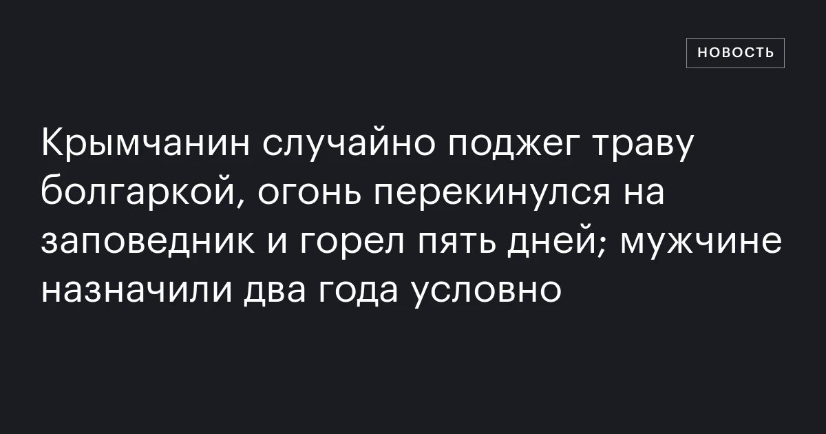Крымчанин случайно поджег траву болгаркой, огонь перекинулся на заповедник и горел пять дней; мужчине назначили два года условно
