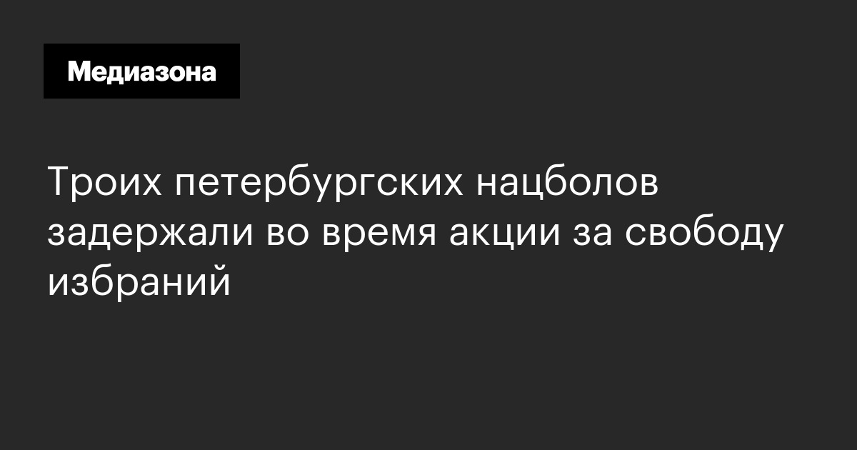 Троих петербургских нацболов задержали во время акции за свободу избраний