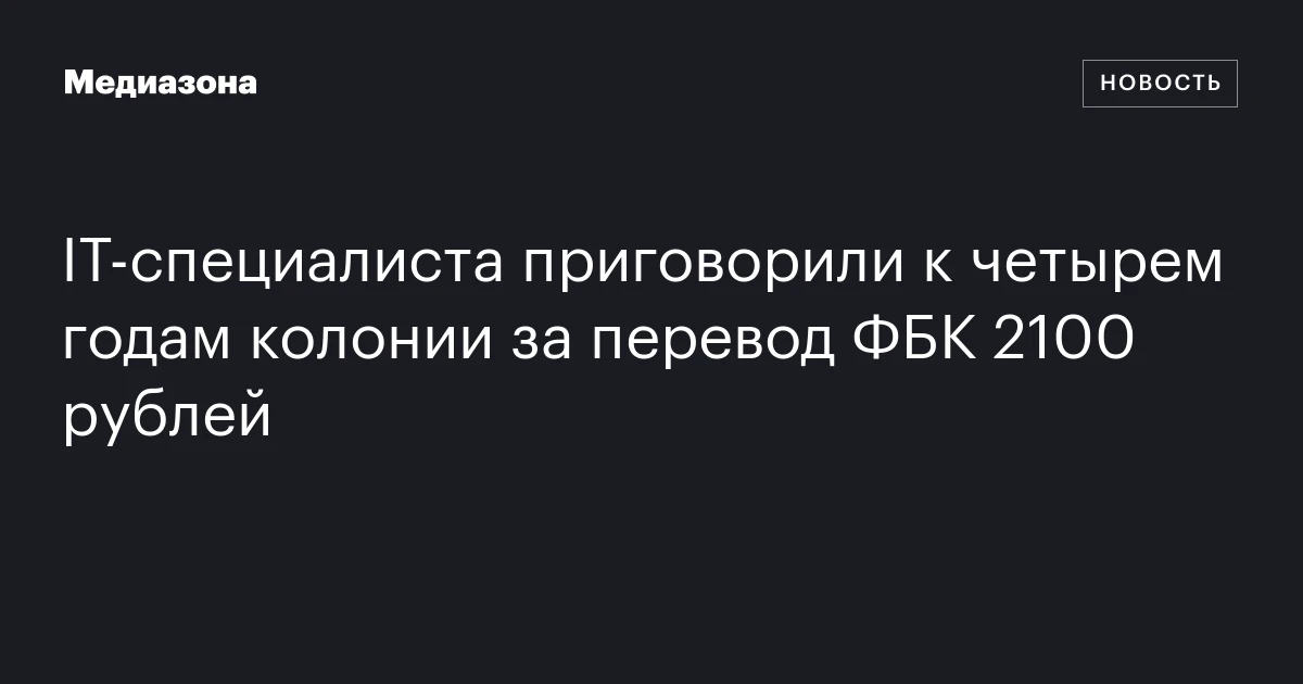 IT‑специалиста приговорили к четырем годам колонии за перевод ФБК 2100 рублей