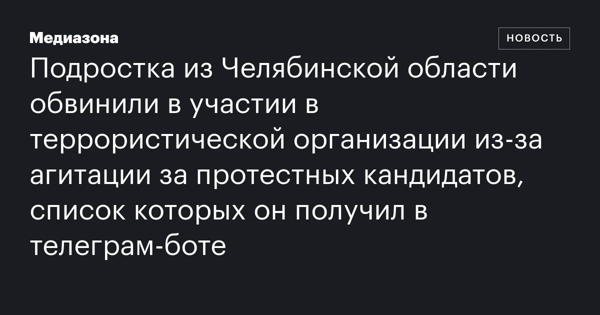 Подростка из Челябинской области обвинили в участии в террористической организации из‑за агитации за протестных кандидатов, список которых он получил в телеграм‑боте