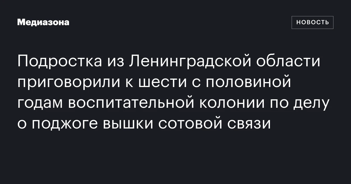 Подростка из Ленинградской области приговорили к шести с половиной годам воспитательной колонии по делу о поджоге вышки сотовой связи