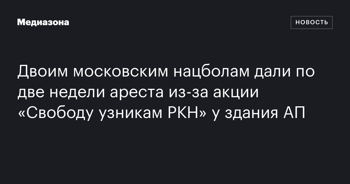 Двоим московским нацболам дали по две недели ареста из‑за акции «Свободу узникам РКН» у здания АП