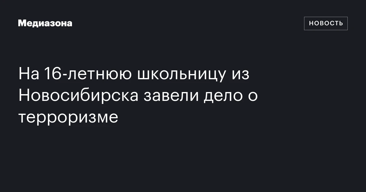 На 16‑летнюю школьницу из Новосибирска завели дело о терроризме
