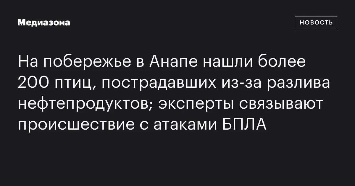 На побережье в Анапе нашли более 200 птиц, пострадавших из‑за разлива нефтепродуктов; эксперты связывают происшествие с атаками БПЛА