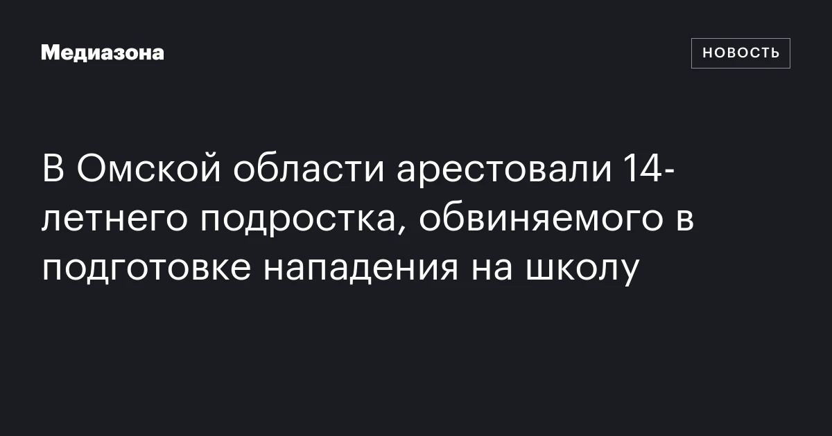В Омской области арестовали 14-летнего подростка, обвиняемого в подготовке нападения на школу