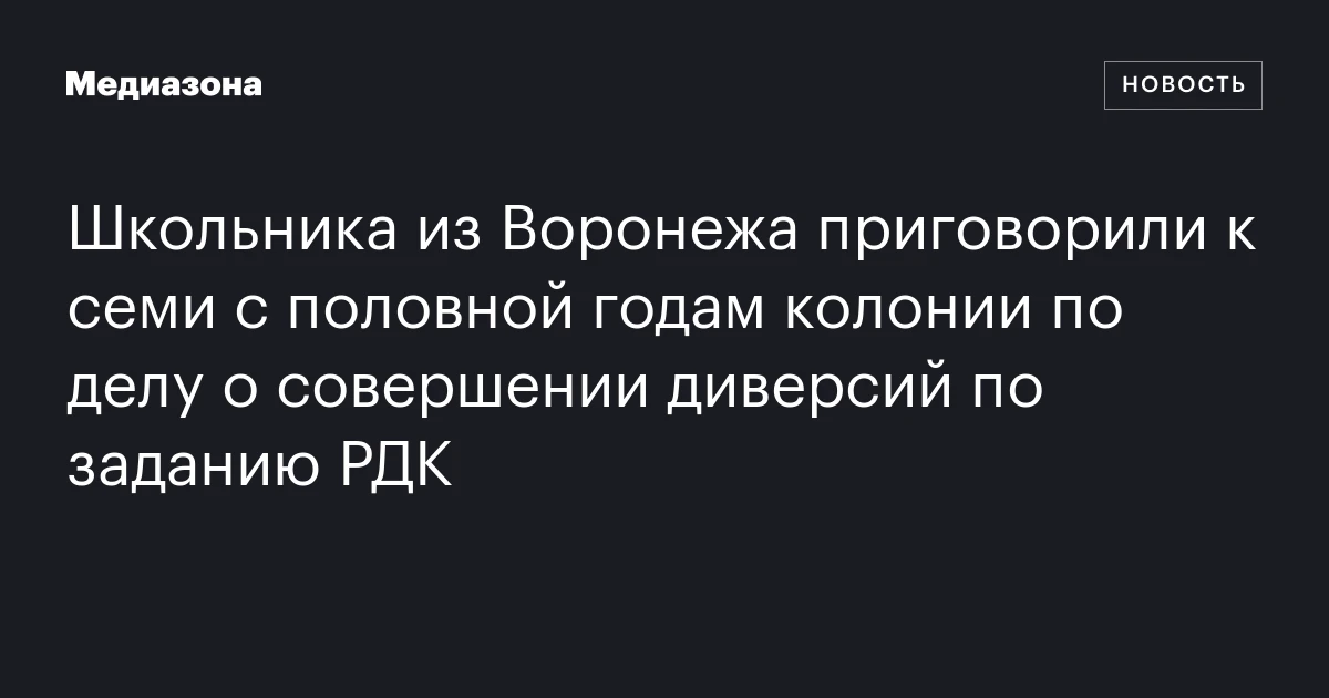 Школьника из Воронежа приговорили к семи с половной годам колонии по делу о совершении диверсий по заданию РДК