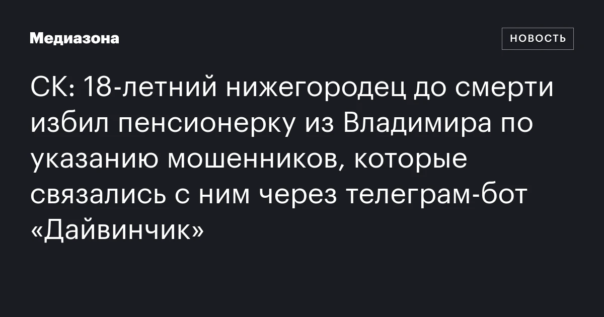 СК: 18-летний нижегородец до смерти избил пенсионерку из Владимира по указанию мошенников, которые связались с ним через телеграм-бот «Дайвинчик»