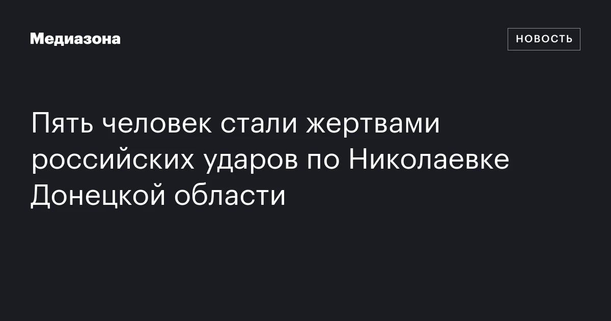 Пять человек стали жертвами российских ударов по Николаевке Донецкой области