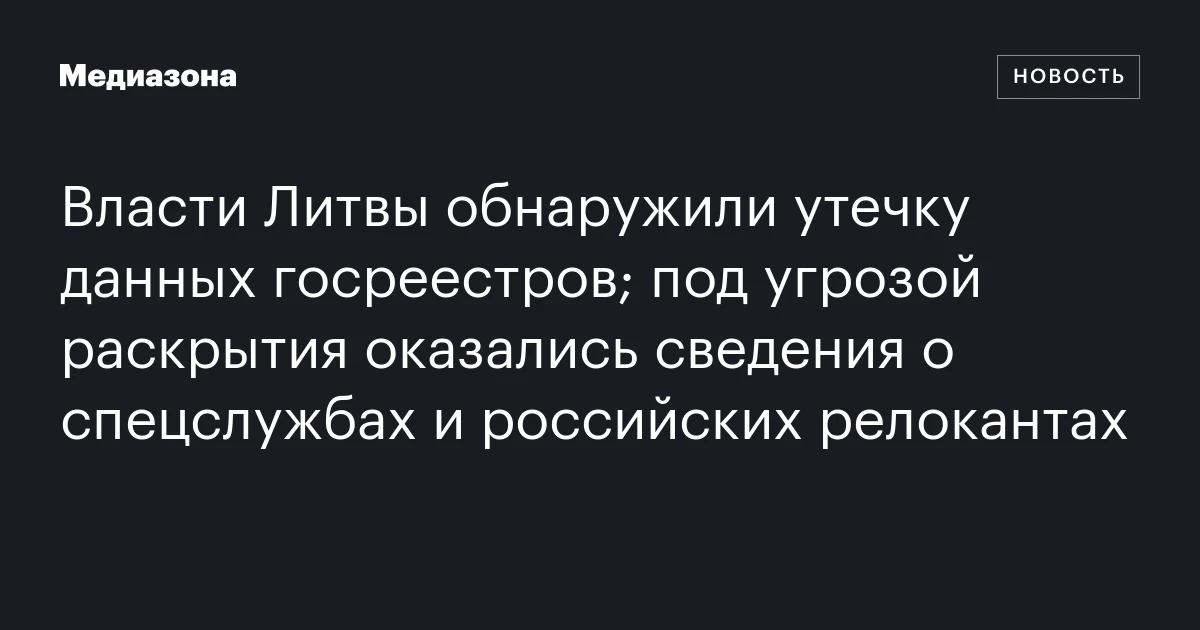 Власти Литвы обнаружили утечку данных госреестров; под угрозой раскрытия оказались сведения о спецслужбах и российских релокантах