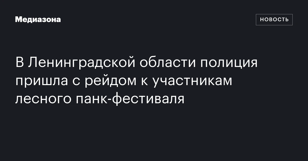 В Ленинградской области полиция пришла с рейдом к участникам лесного панк‑фестиваля