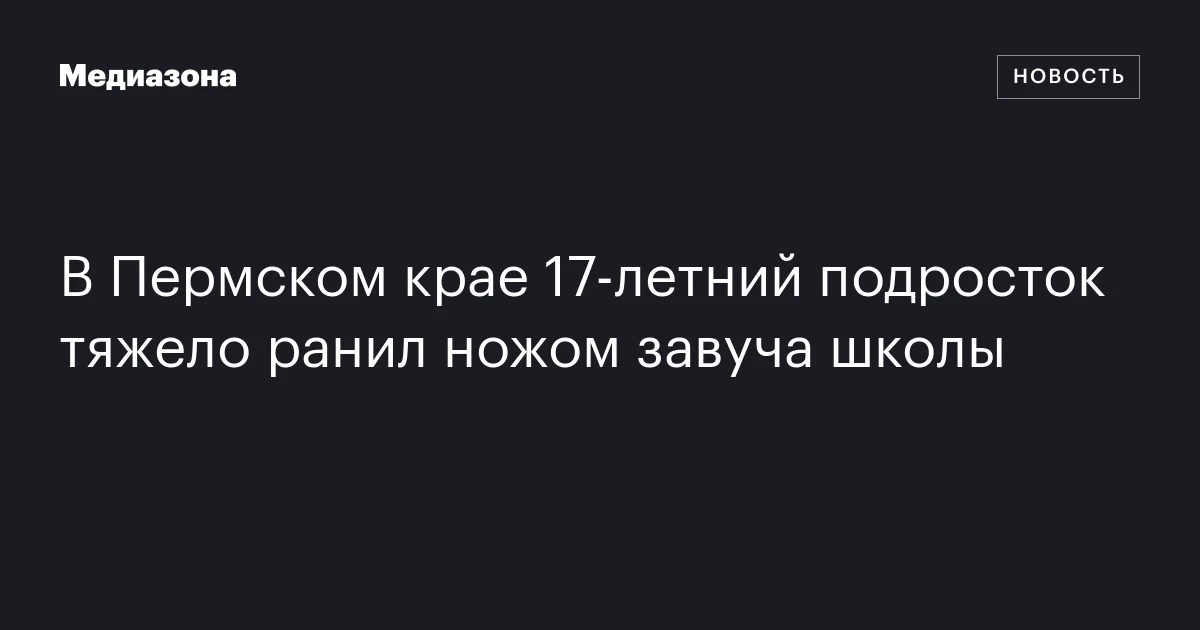 В Пермском крае 17‑летний подросток тяжело ранил ножом завуча школы