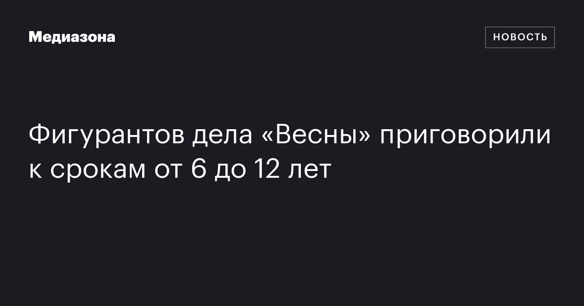 Фигурантов дела «Весны» приговорили к срокам от 6 до 12 лет