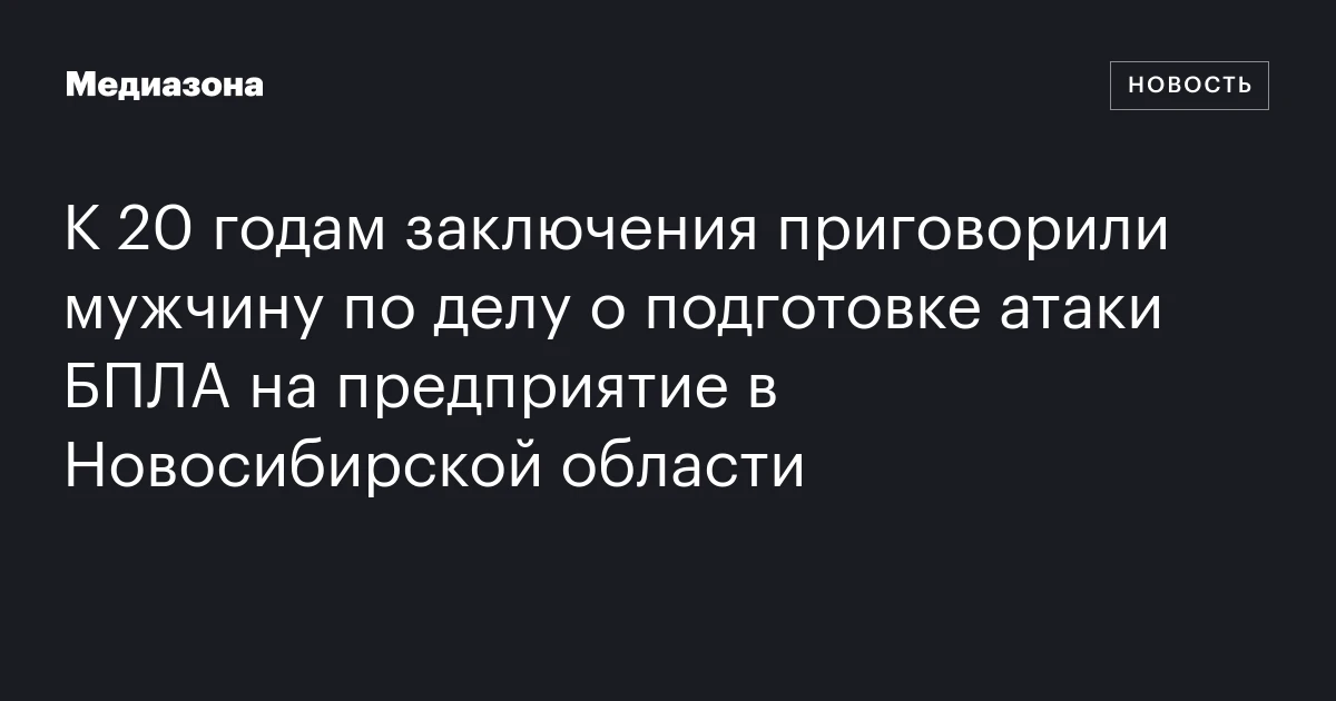 К 20 годам заключения приговорили мужчину по делу о подготовке атаки БПЛА на предприятие в Новосибирской области