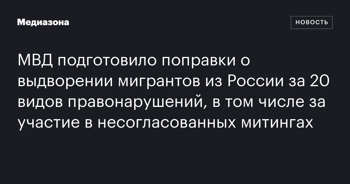 МВД подготовило поправки о выдворении мигрантов из России за 20 видов правонарушений, в том числе за участие в несогласованных митингах