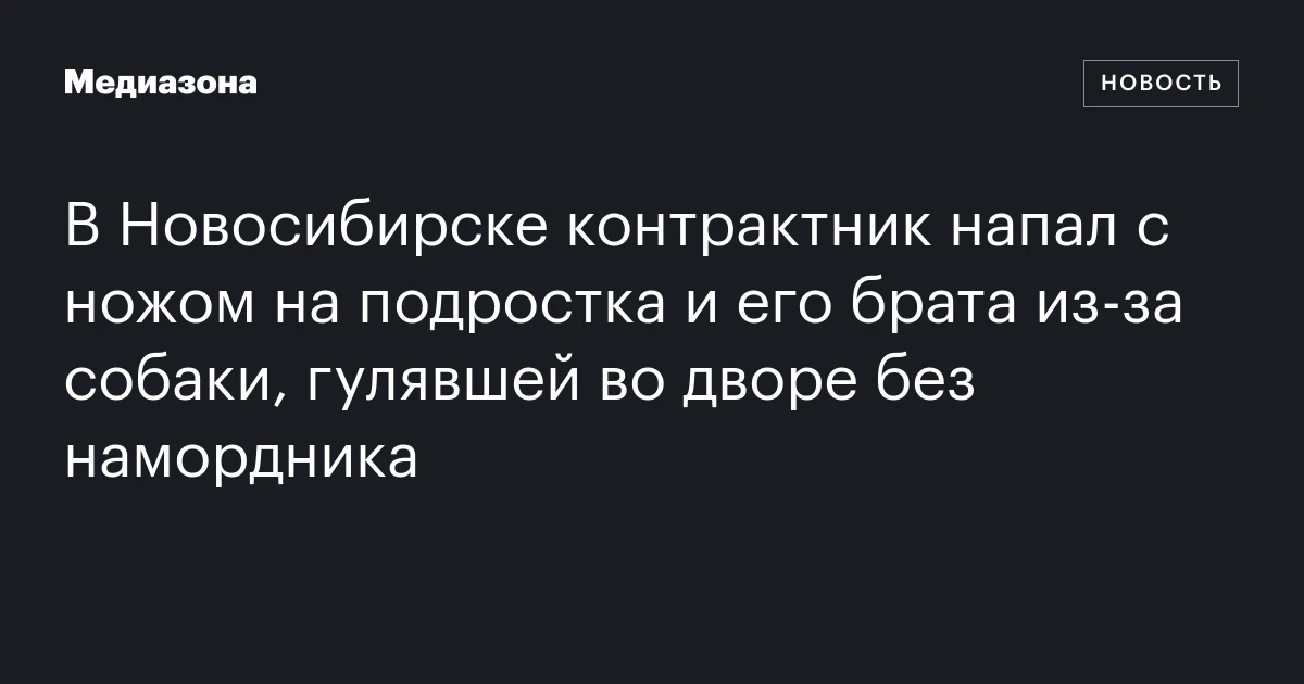 В Новосибирске контрактник напал с ножом на подростка и его брата из‑за собаки, гулявшей во дворе без намордника