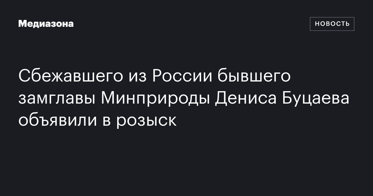 Сбежавшего из России бывшего замглавы Минприроды Дениса Буцаева объявили в розыск