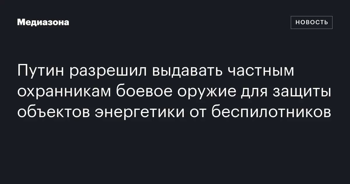 Путин разрешил выдавать частным охранникам боевое оружие для защиты объектов энергетики от беспилотников