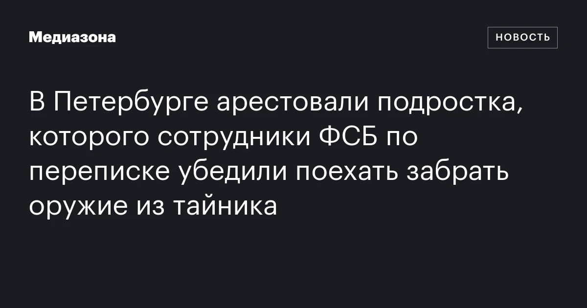 В Петербурге арестовали подростка по делу о содействии терроризму