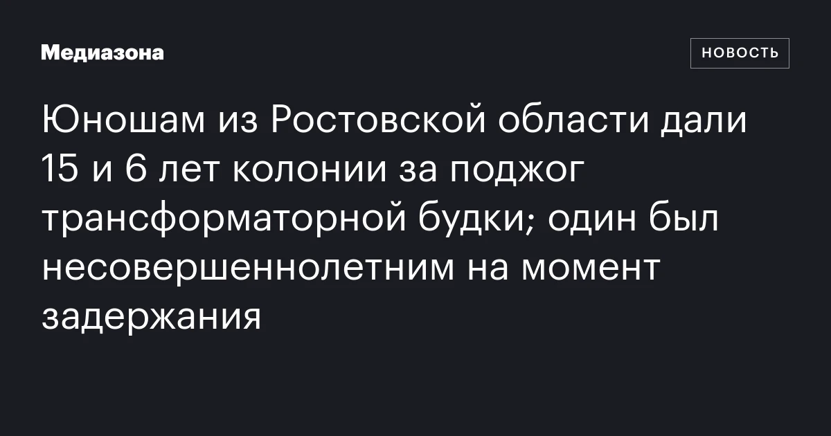 Юношам из Ростовской области дали 15 и 6 лет колонии за поджог трансформаторной будки; один был несовершеннолетним на момент задержания