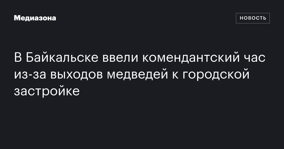 В Байкальске ввели комендантский час из‑за выходов медведей к городской застройке