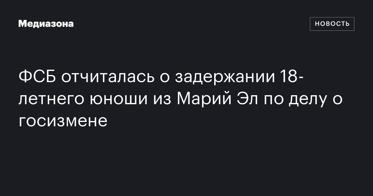 ФСБ отчиталась о задержании 18-летнего юноши из Марий Эл по делу о госизмене