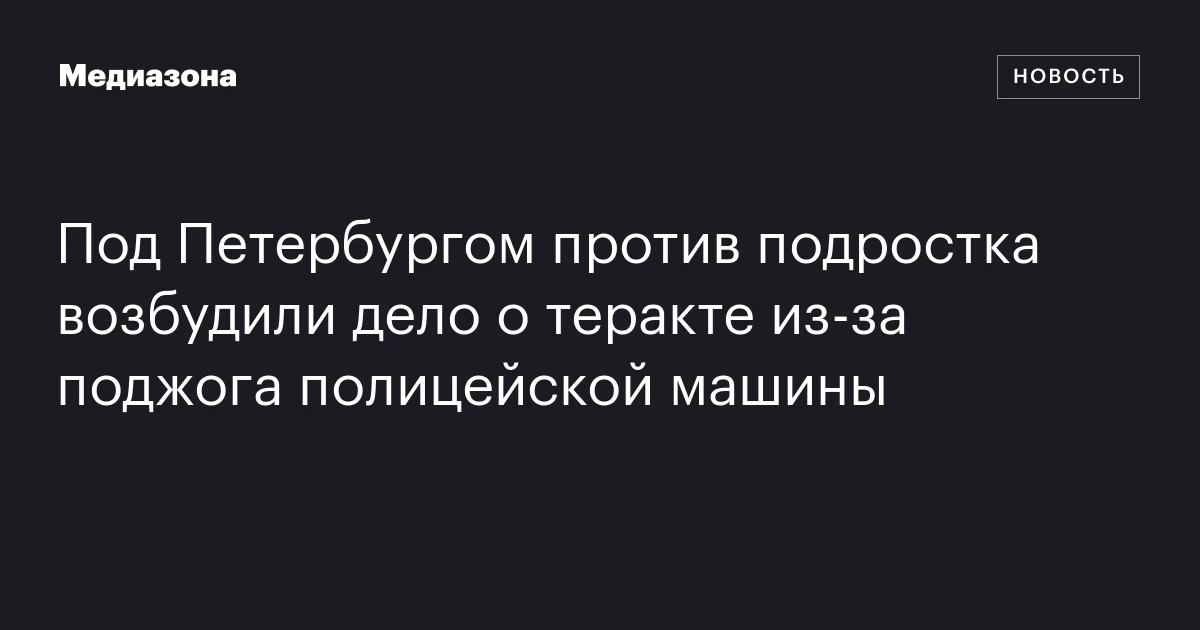 Под Петербургом против подростка возбудили дело о теракте из‑за поджога полицейской машины
