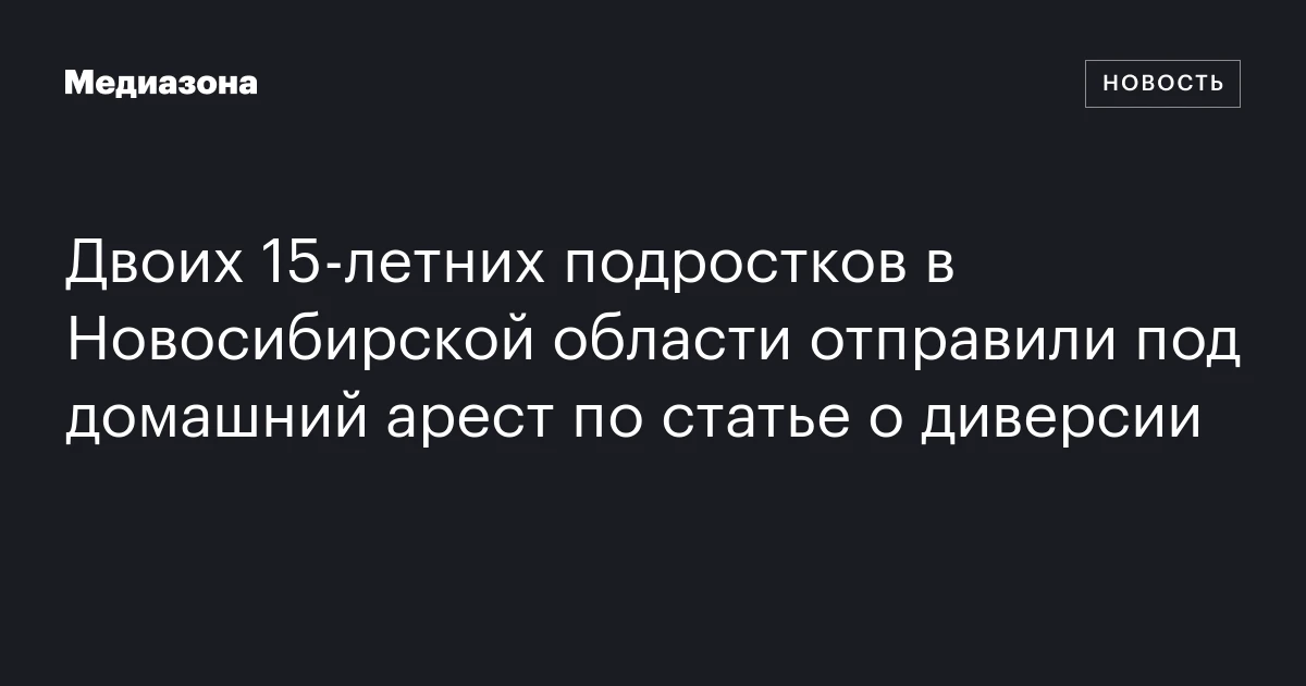 Двоих 15‑летних подростков в Новосибирской области отправили под домашний арест по статье о диверсии
