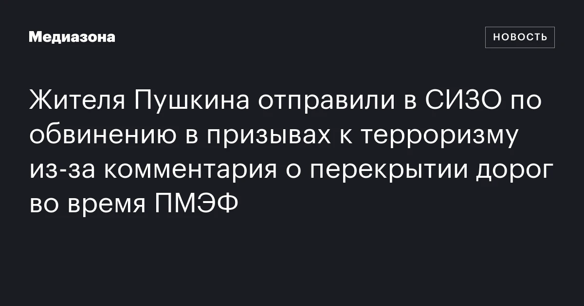 Жителя Пушкина отправили в СИЗО по обвинению в призывах к терроризму из‑за комментария о перекрытии дорог во время ПМЭФ