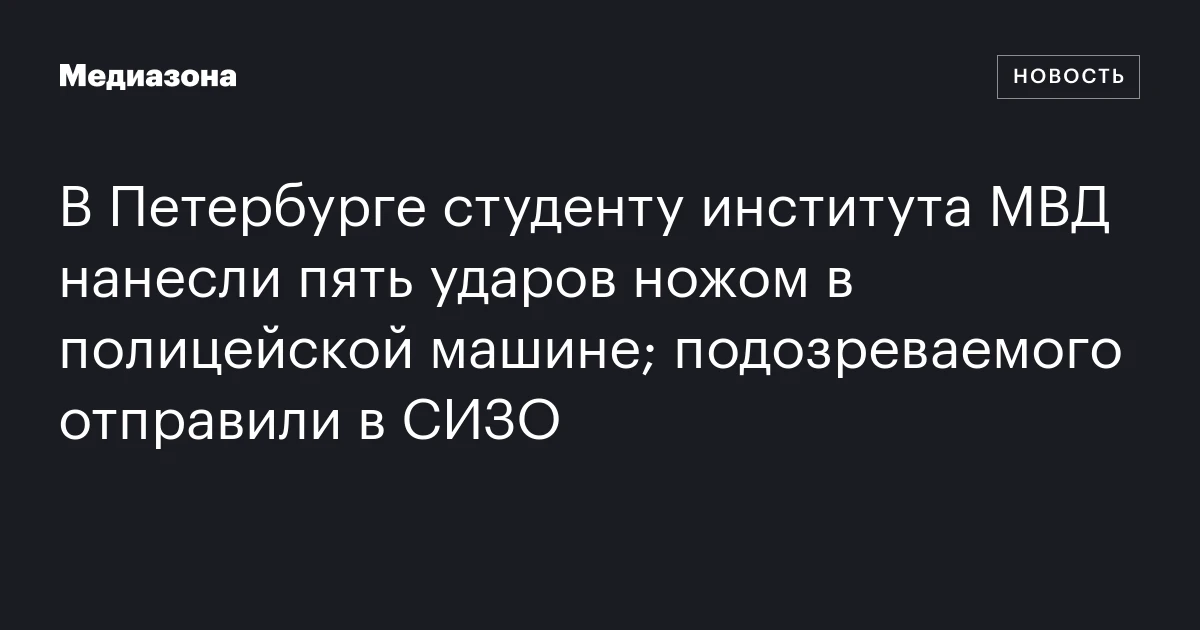 В Петербурге студенту института МВД нанесли пять ударов ножом в полицейской машине; подозреваемого отправили в СИЗО