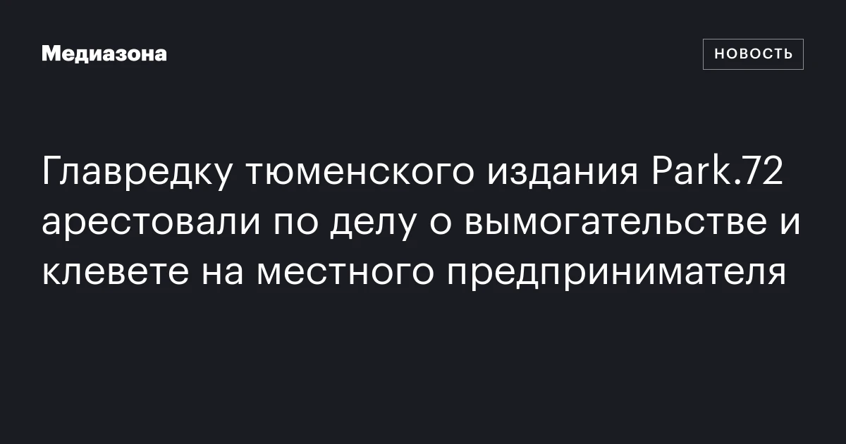 Главредку тюменского издания Park.72 арестовали по делу о вымогательстве и клевете на местного предпринимателя