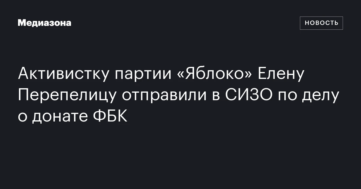 Активистку партии «Яблоко» Елену Перепелицу отправили в СИЗО по делу о донате ФБК