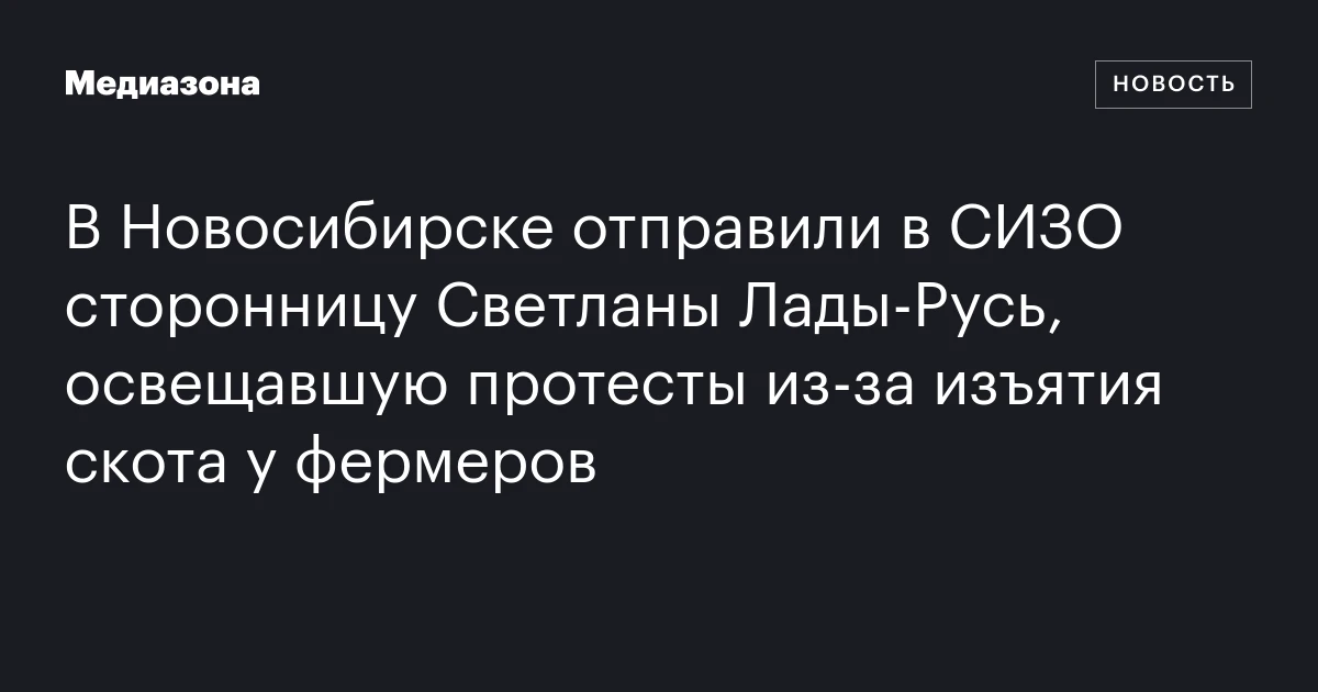 В Новосибирске отправили в СИЗО сторонницу Светланы Лады‑Русь, освещавшую протесты из‑за изъятия скота у фермеров