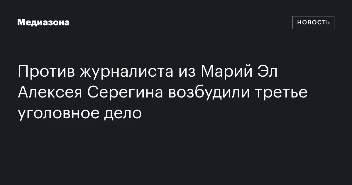 Против журналиста из Марий Эл Алексея Серегина возбудили третье уголовное дело