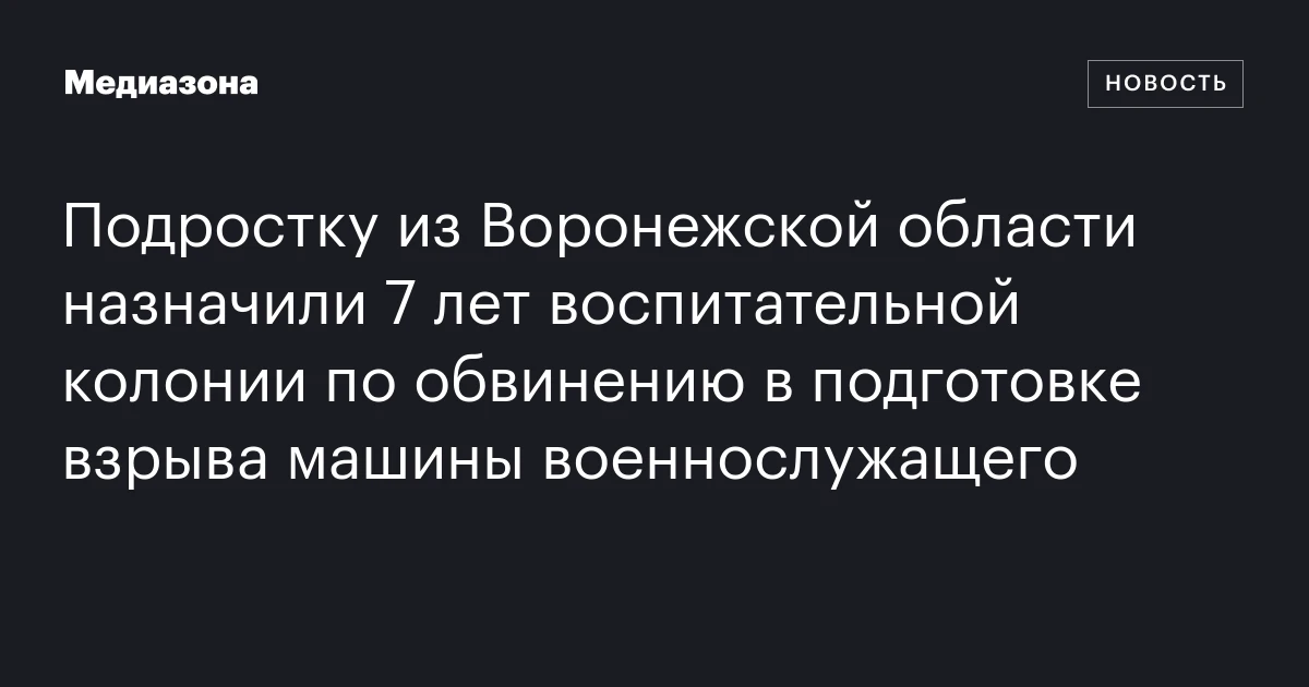 Подростку из Воронежской области назначили 7 лет воспитательной колонии по обвинению в подготовке взрыва машины военнослужащего