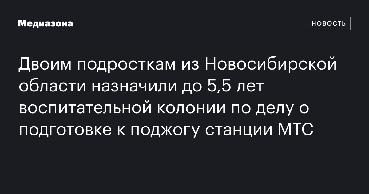 Двоим подросткам из Новосибирской области назначили до 5,5 лет воспитательной колонии по делу о подготовке к поджогу станции МТС