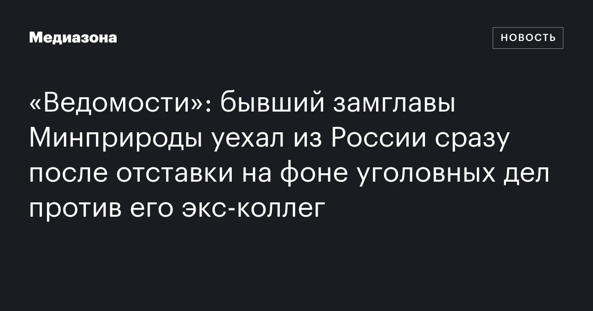 «Ведомости»: бывший замглавы Минприроды уехал из России сразу после отставки на фоне уголовных дел против его экс‑коллег