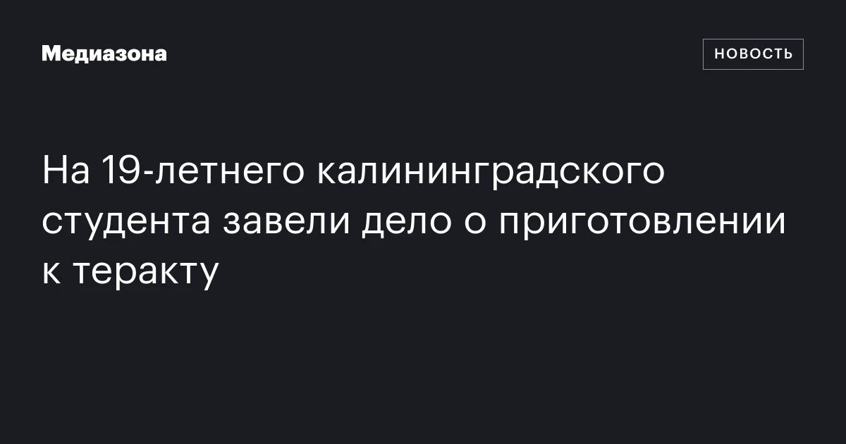 На 19‑летнего калининградского студента завели дело о приготовлении к теракту