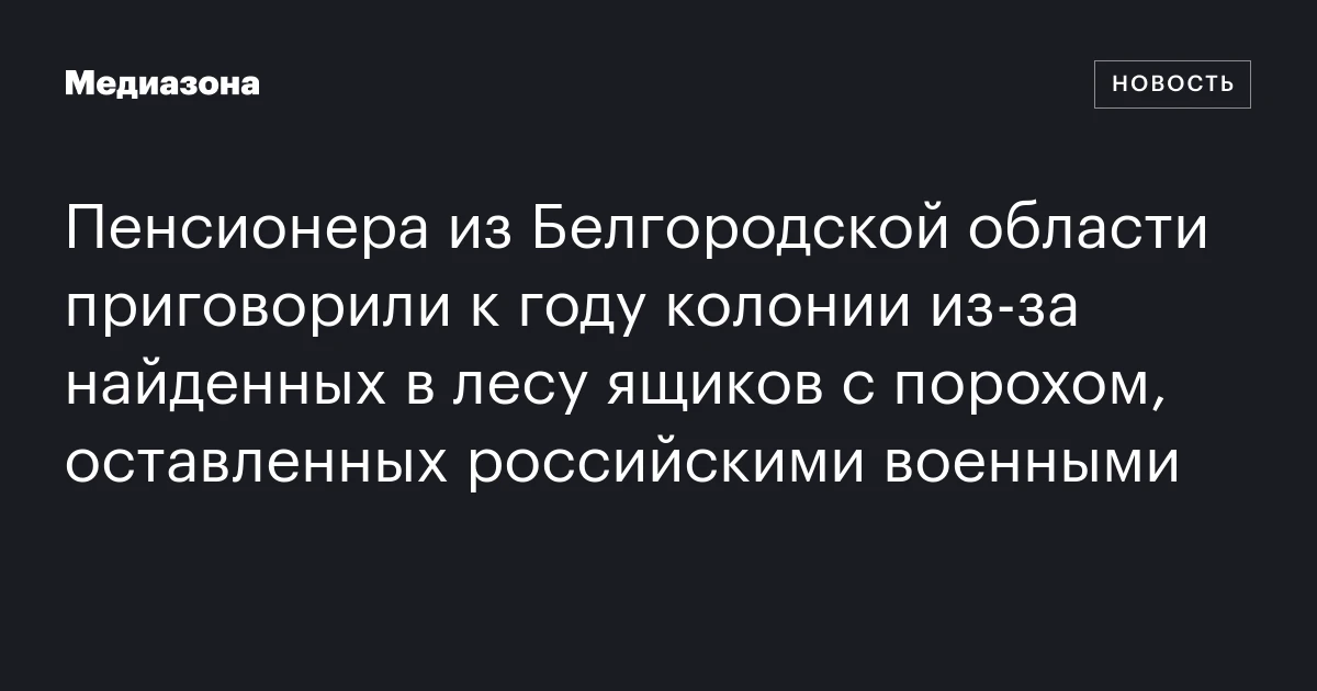 Пенсионера из белгородской области приговорили к году колонии из‑за найденных в лесу ящиков с порохом, оставленных российскими военными