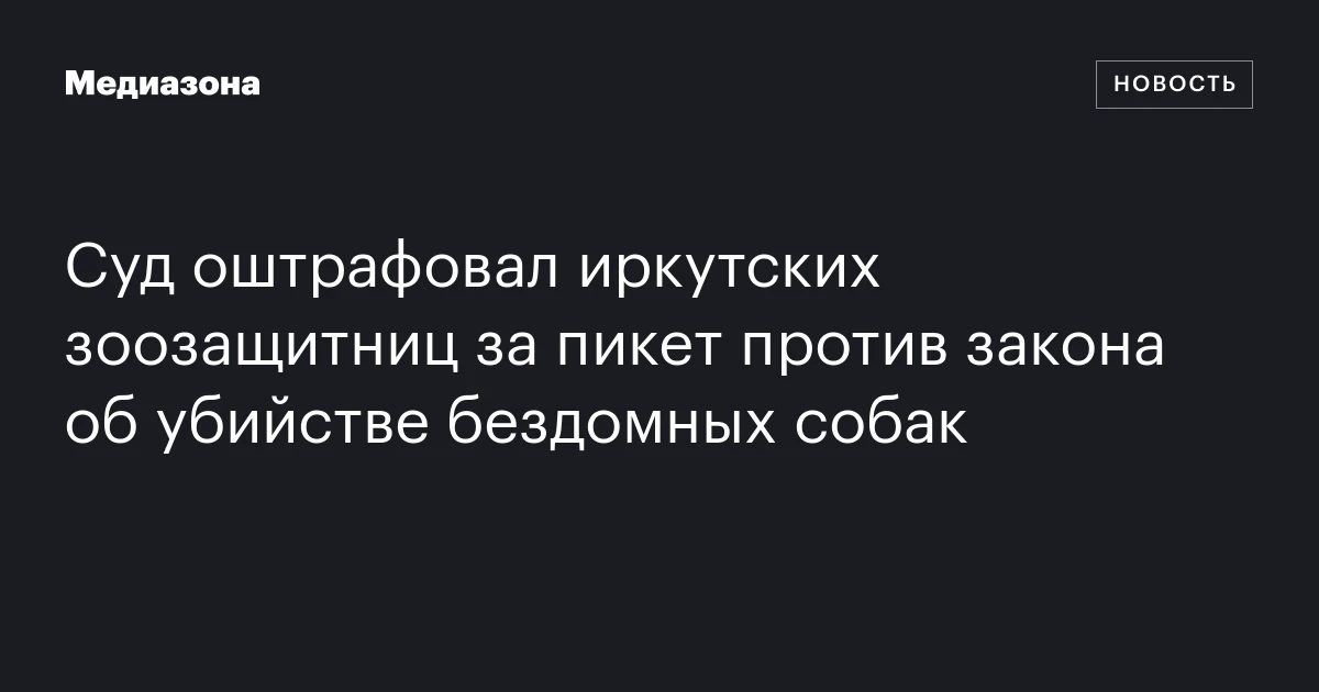 Суд оштрафовал иркутских зоозащитниц за пикет против закона об убийстве бездомных собак