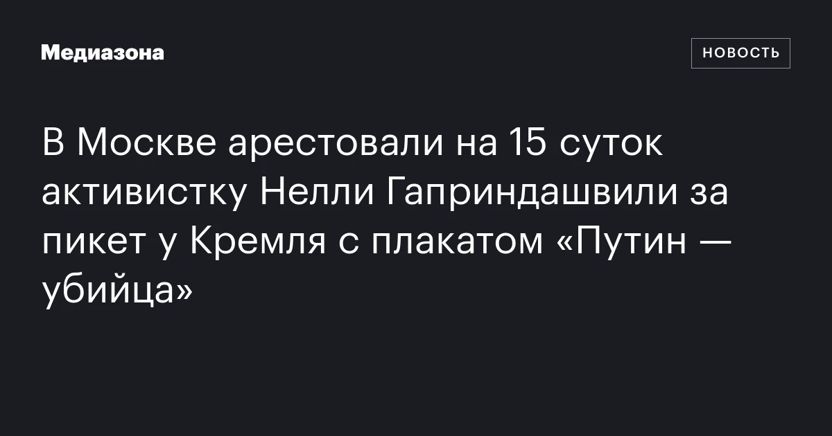 В Москве арестовали на 15 суток активистку Нелли Гаприндашвили за пикет у Кремля с плакатом «Путин — убийца»