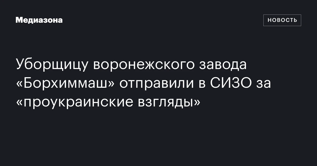 Уборщицу воронежского завода «Борхиммаш» отправили в СИЗО за «проукраинские взгляды»