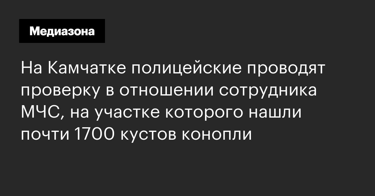 На камчатке полицейские проводят проверку в отношении сотрудника мчс, на участке которого нашли почти 1700 кустов конопли