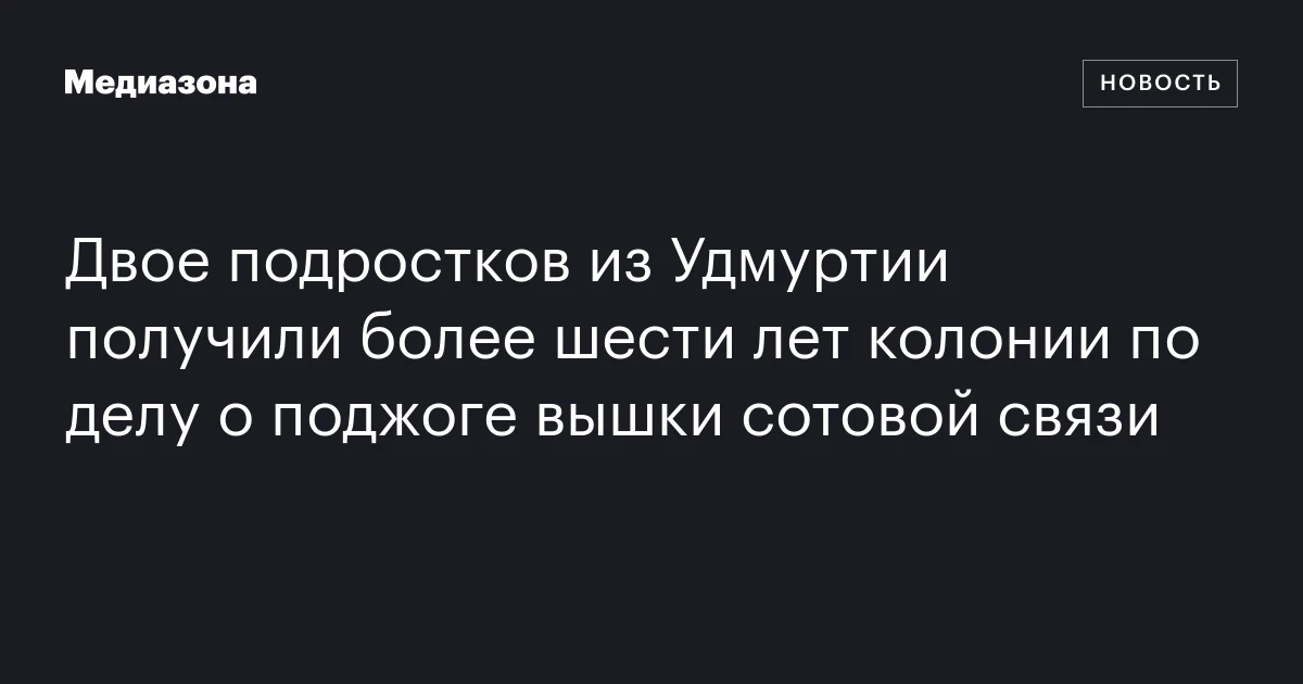 Двое подростков из Удмуртии получили более шести лет колонии по делу о поджоге вышки сотовой связи