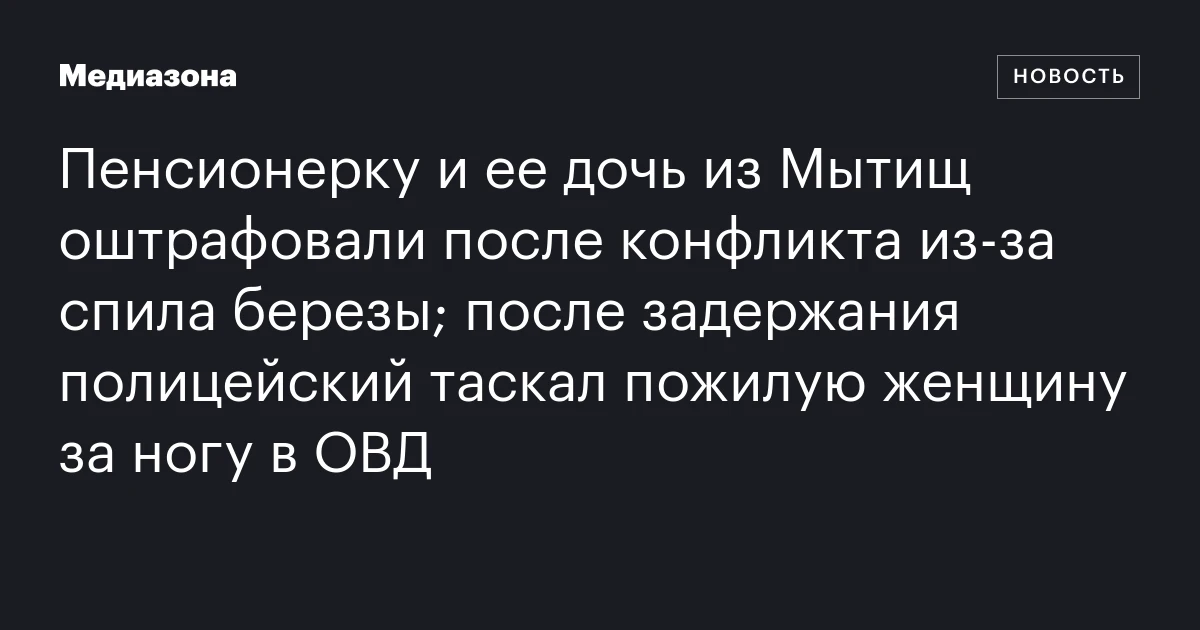 Пенсионерку и ее дочь из Мытищ оштрафовали после конфликта из‑за спила березы; после задержания полицейский таскал пожилую женщину за ногу в ОВД
