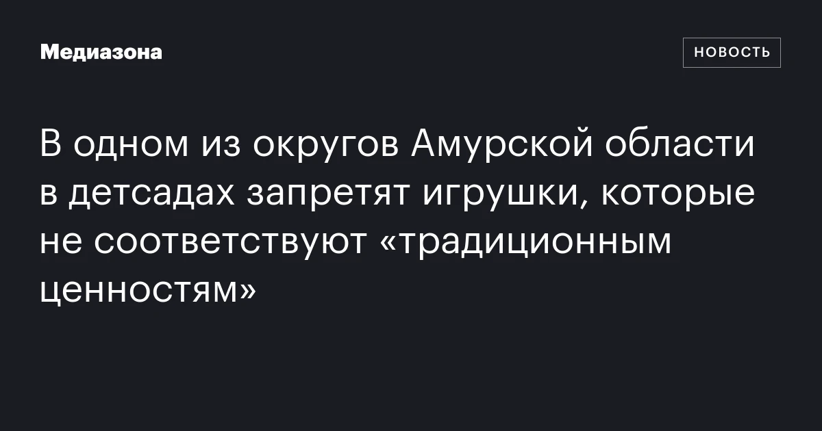 В одном из округов Амурской области в детсадах запретят игрушки, которые не соответствуют «традиционным ценностям»