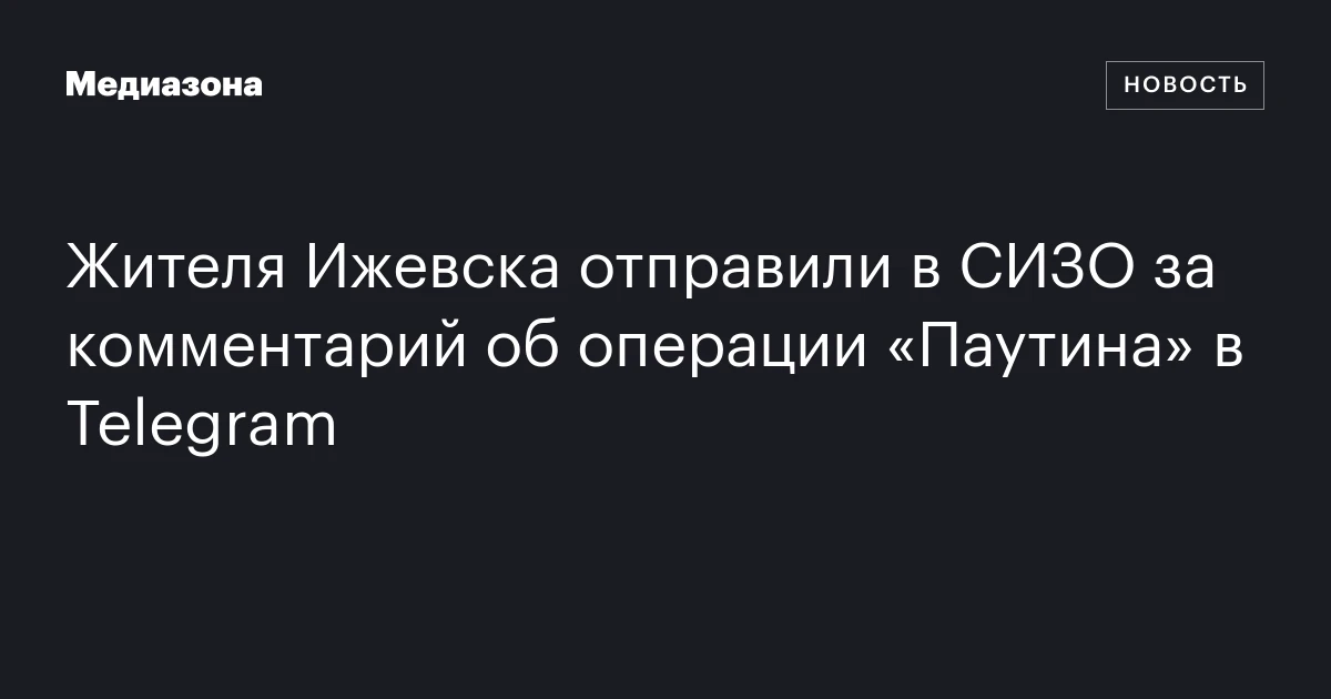 Жителя Ижевска отправили в СИЗО за комментарий об операции «Паутина» в Telegram