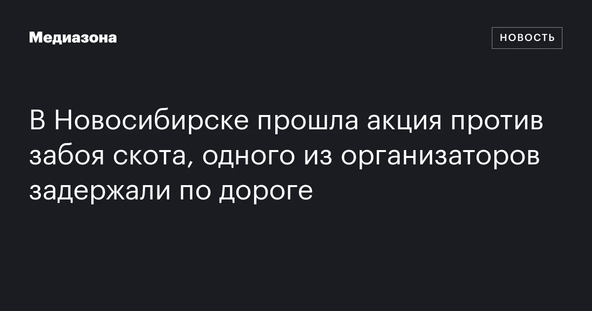 В Новосибирске прошла акция против забоя скота, одного из организаторов задержали по дороге
