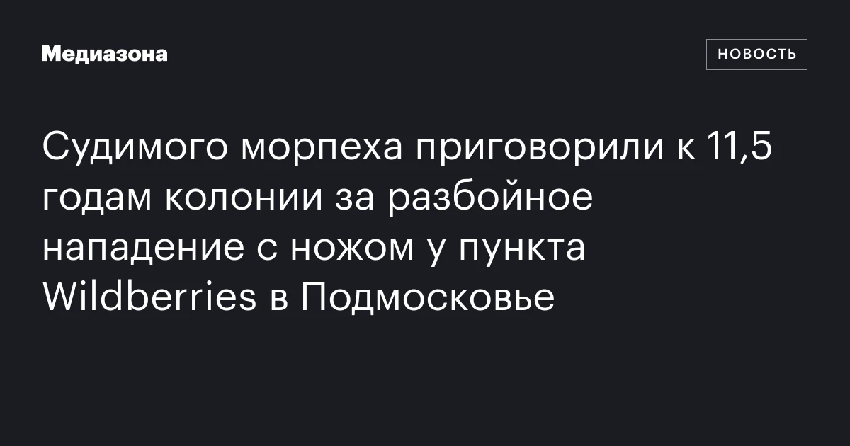Судимого морпеха приговорили к 11,5 годам колонии за разбойное нападение с ножом у пункта Wildberries в Подмосковье