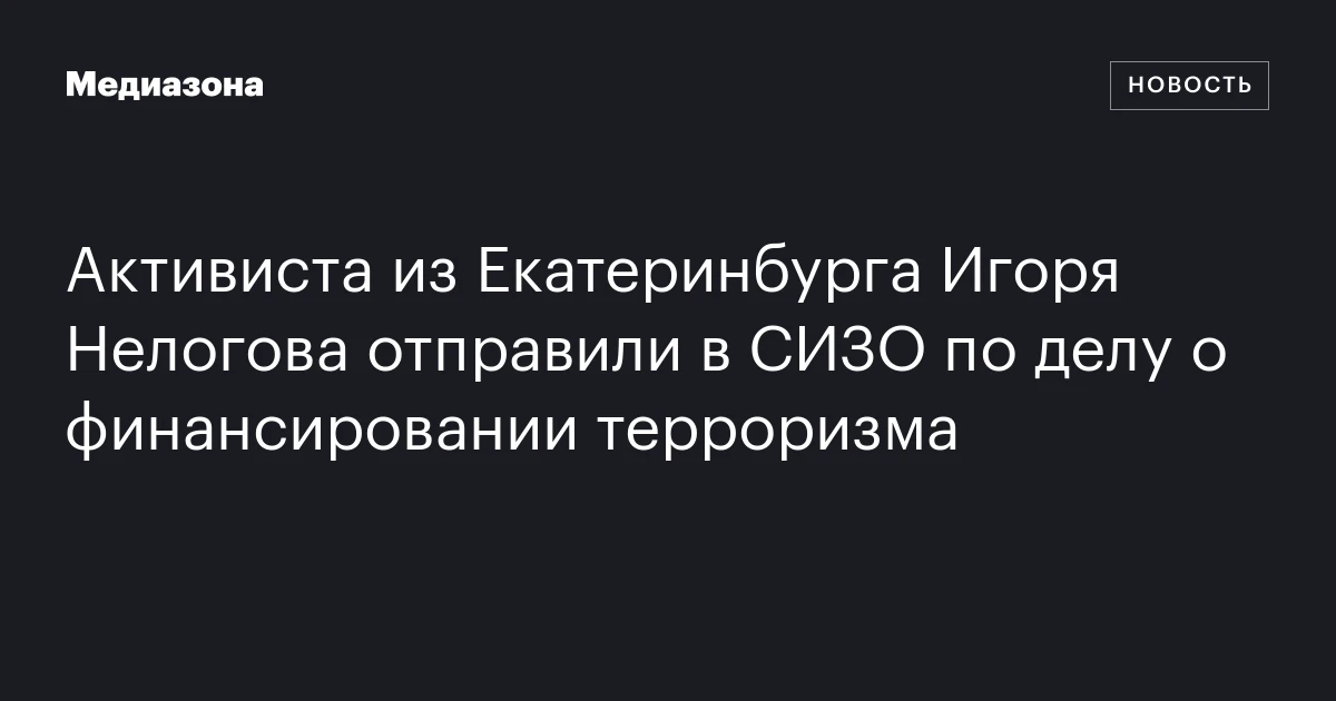 Активиста из Екатеринбурга Игоря Нелогова отправили в СИЗО по делу о финансировании терроризма